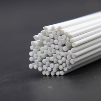 Eve Models ABS Styrene Plastic Round Rod 0.5mm X 500mm (10pc)