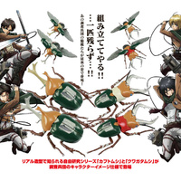 Fujimi 17173 Attack On Titan Ver Stag Beetle Survey Corps FI No 228