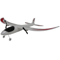 FX Pterosaur RC Glider Twin Motor RTF  480mm