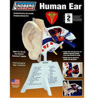 Lindberg Human Ear