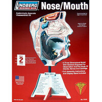 Lindberg Human Nose/Mouth