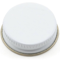 Paasche Plain Cover 3Oz