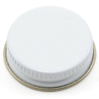 Paasche Plain Cover 1Oz