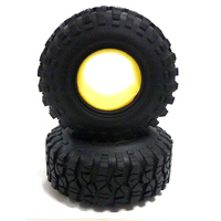 RGT Tire With Memory Foam(pr)