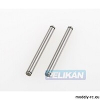 Thundertiger AT-10 Outer Hinge Pin RR