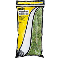 Woodland Scenics Lichen Medium Green